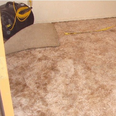 floating carpet with fan