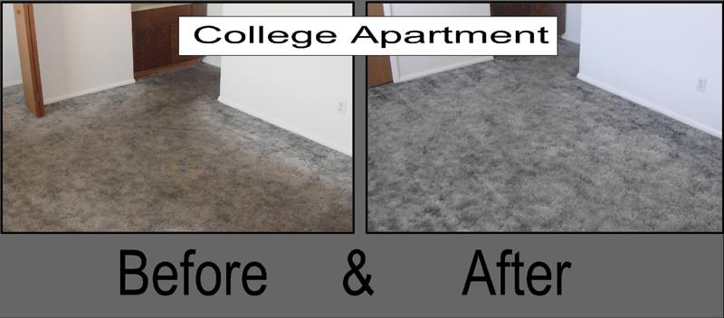 College student carpet